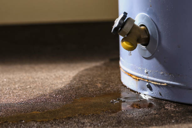 Best Emergency water damage restoration  in Woodbine, IA