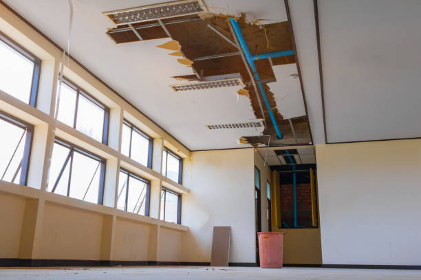 Best Water damage restoration near me  in Woodbine, IA