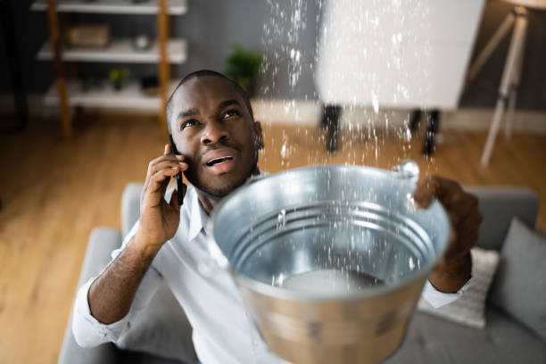 Best Carpet water damage restoration  in Woodbine, IA