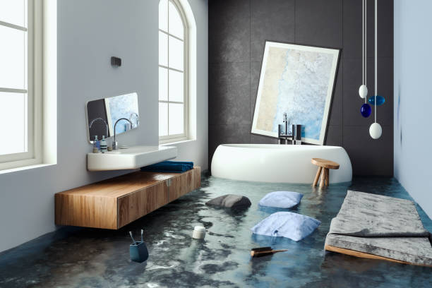 Best 24/7 water damage repair  in Woodbine, IA