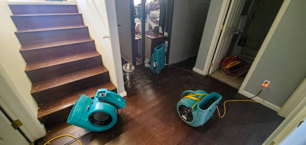 Best Flood restoration services  in Woodbine, IA