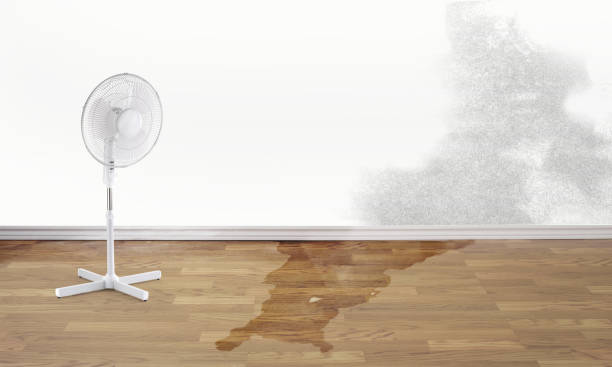 Best Emergency water damage restoration  in Woodbine, IA