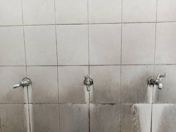 Water damage restoration mold remediation in IA