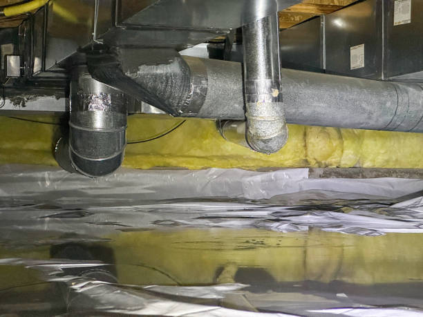  Woodbine, IA Water damage restoration Pros