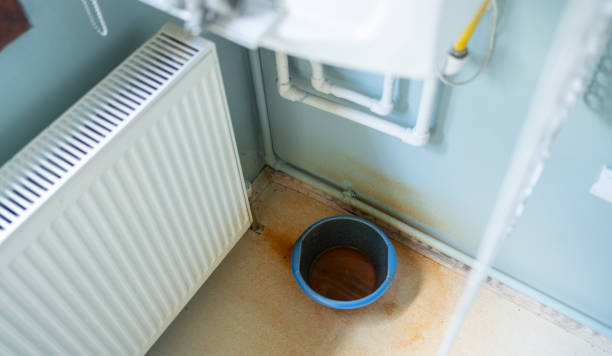 Best Residential water damage restoration  in Woodbine, IA