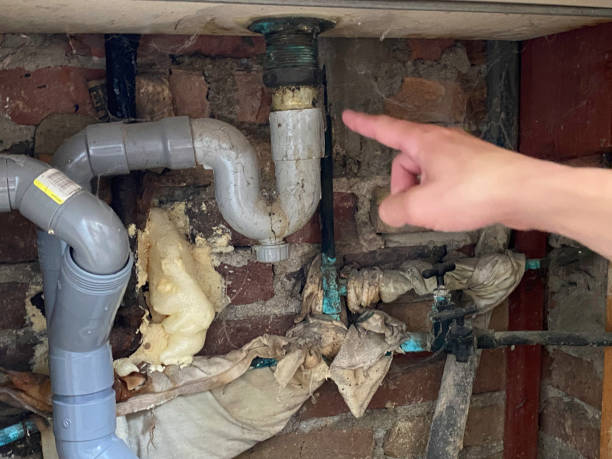Best Water damage repair service  in Woodbine, IA