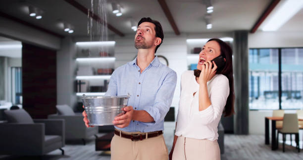 Best Professional water damage repair  in Woodbine, IA