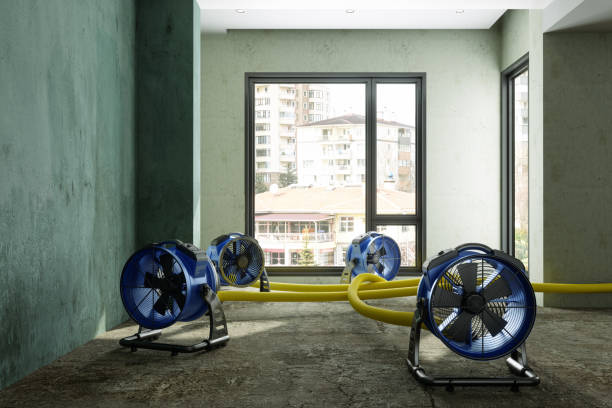 Best 24-hour water damage restoration  in Woodbine, IA